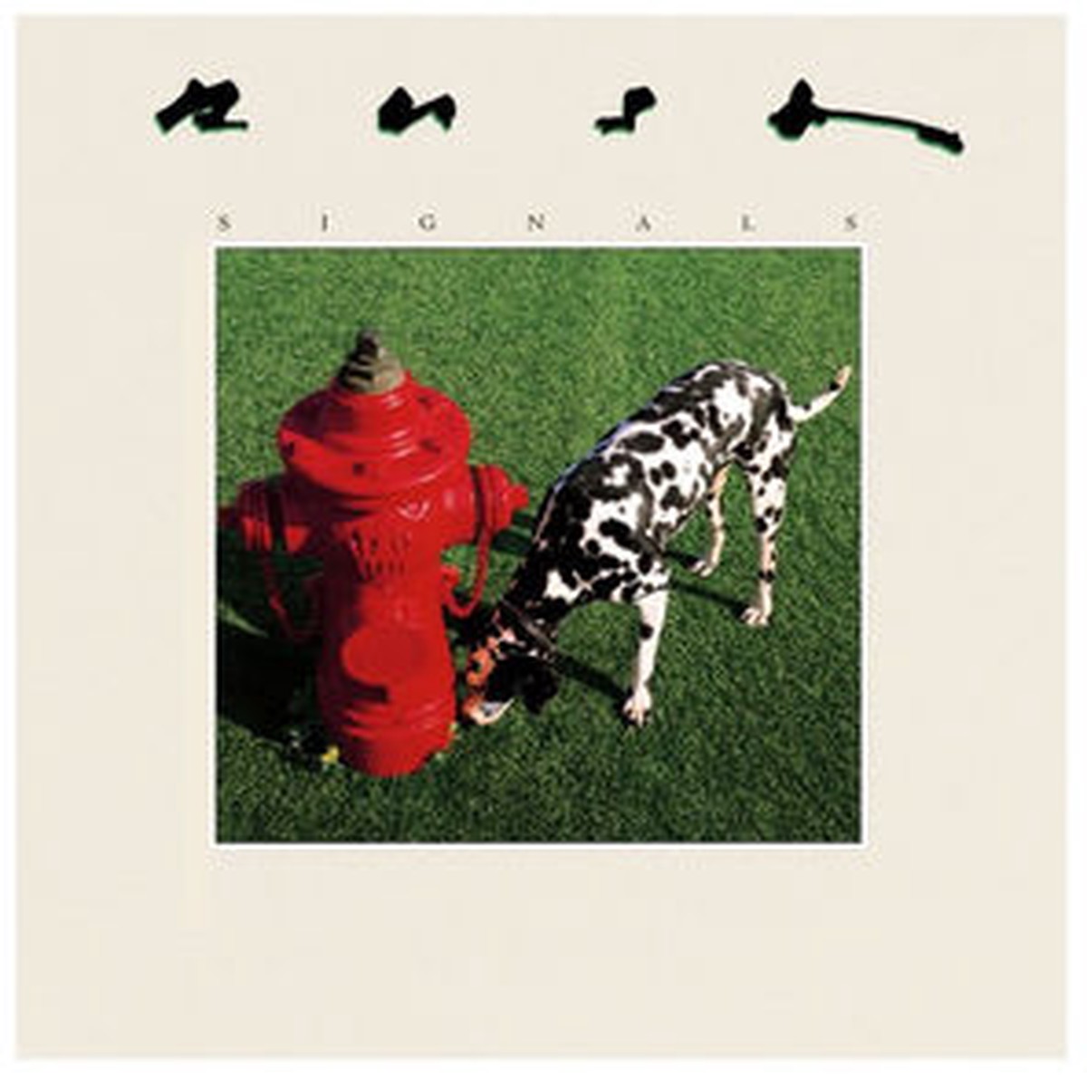 RUSH SIGNALS LP