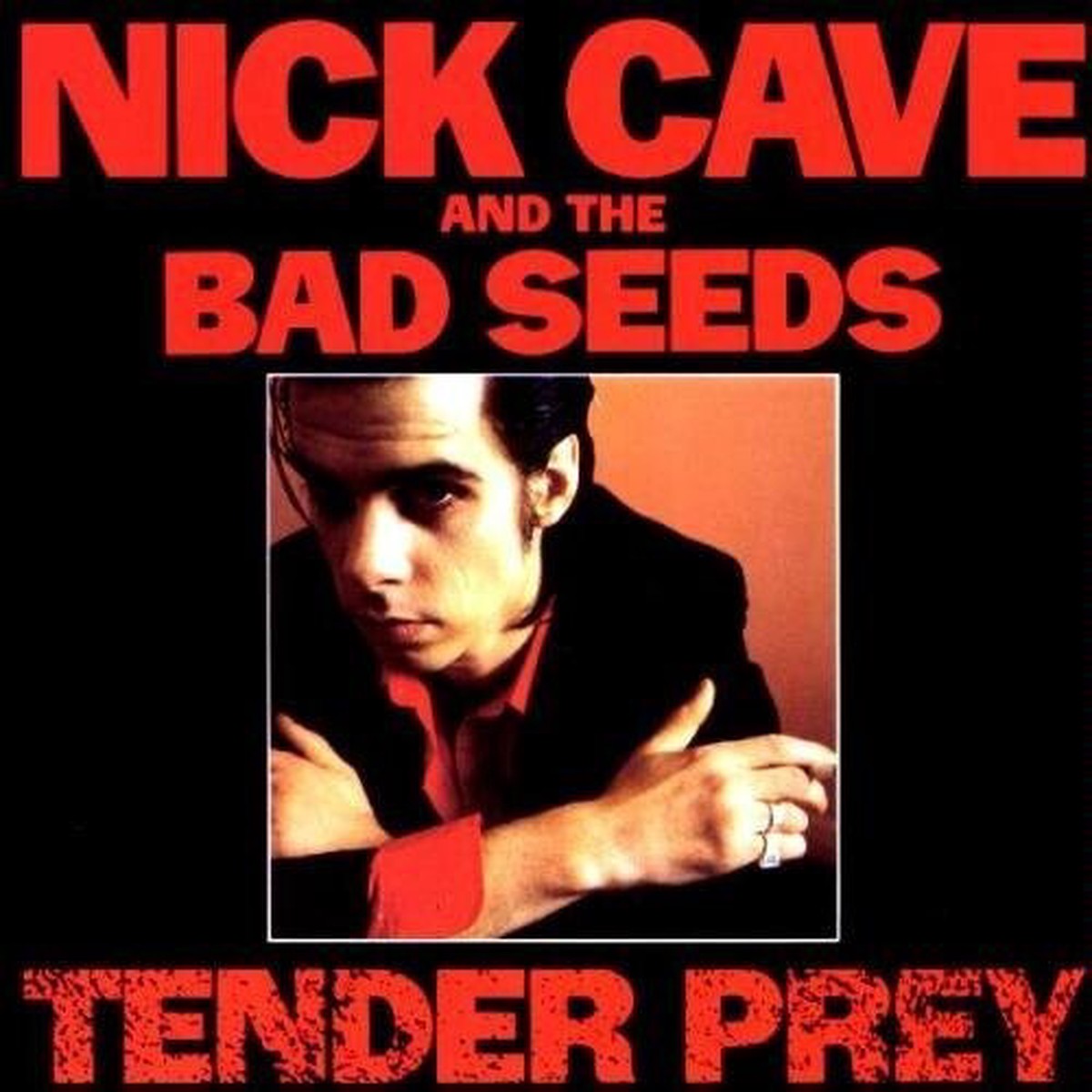 NICK CAVE THE BAD SEEDS TENDER PREY LP