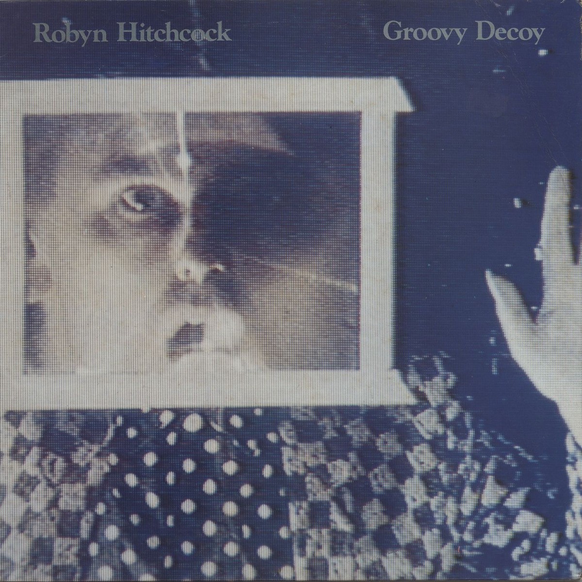 Robyn Hitchcock Groovy Decoy – VG UK Vinyl LP