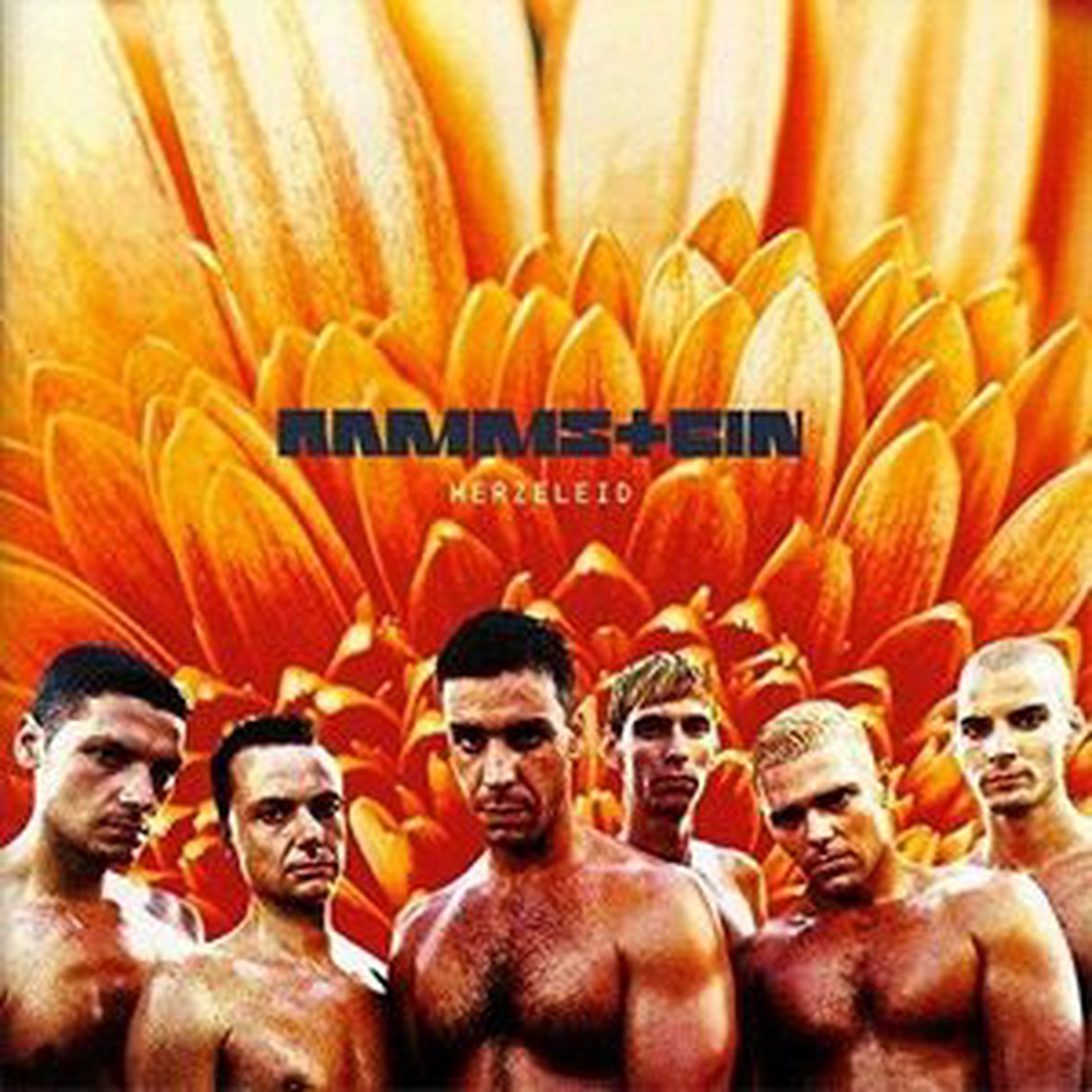 RAMMSTEIN HERZELEID 2LP
