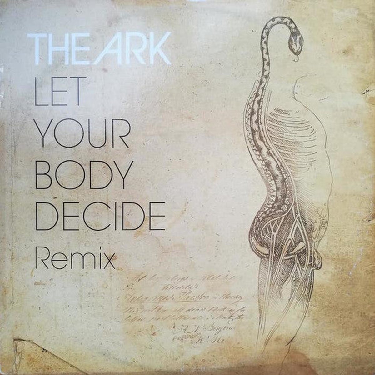 The Ark Let Your Body Decide (Remix)