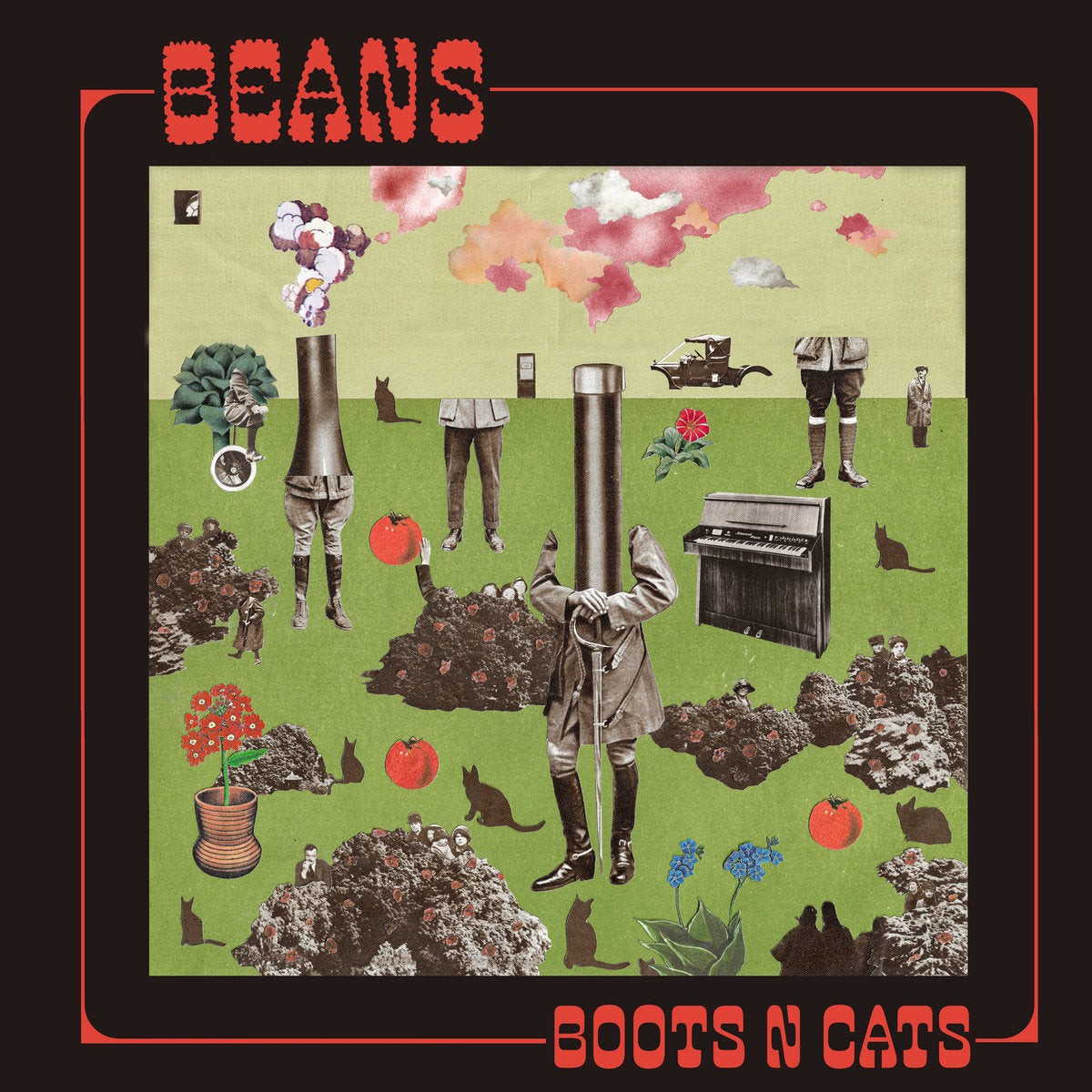 Beans Boots N Cats
