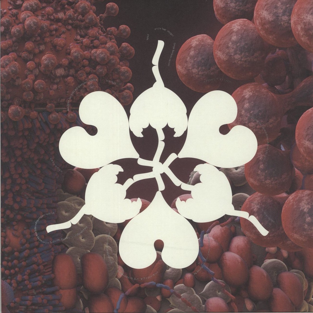 Bjrk Ovule – Clear Vinyl – RSD 2023 UK 12 vinyl