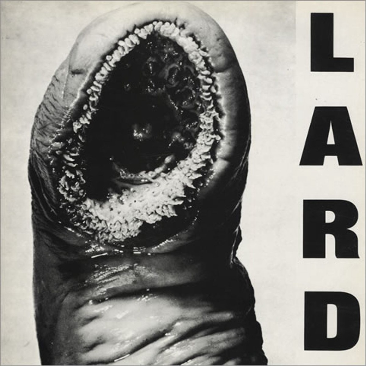 Lard Power Of Lard EP UK 12 vinyl