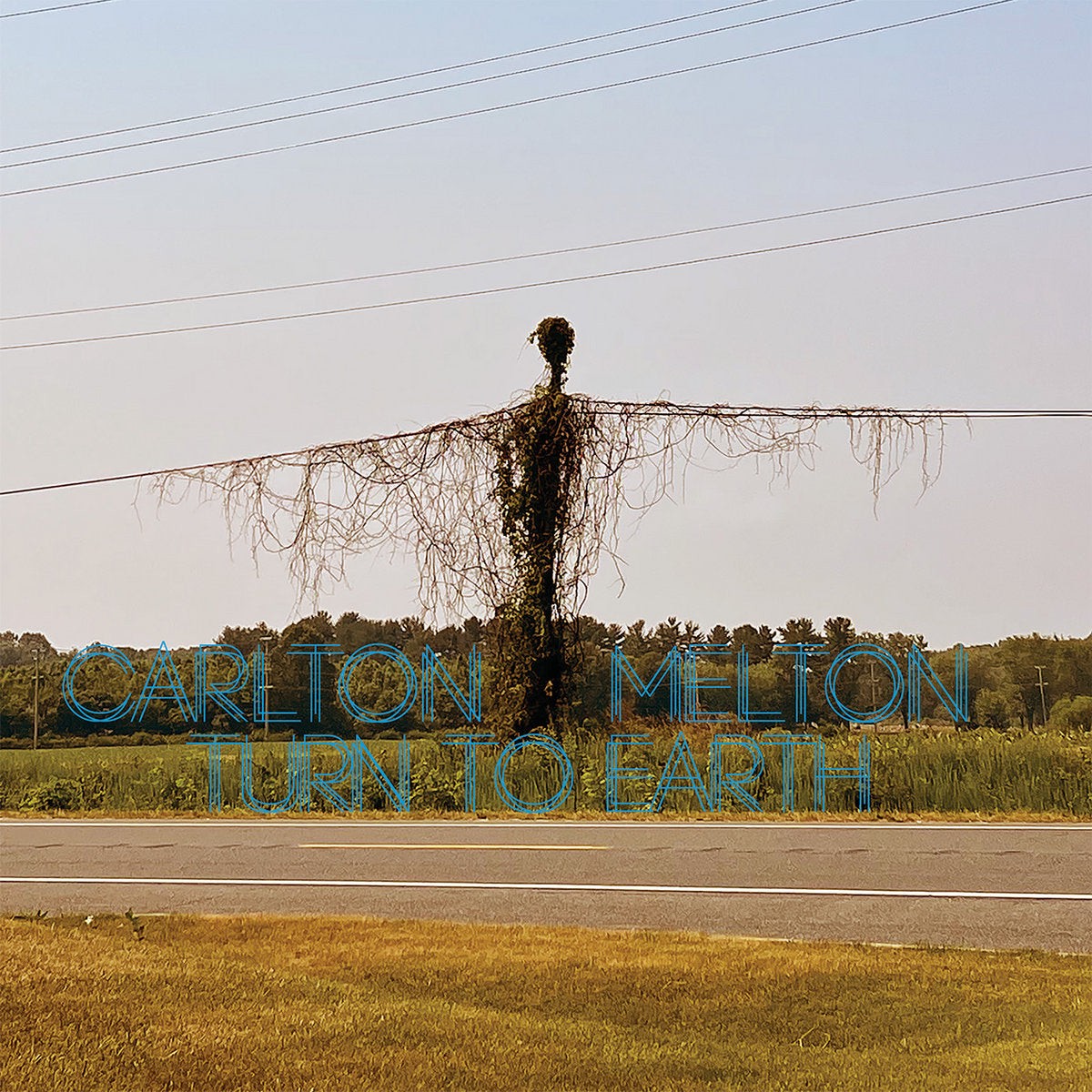 Carlton Melton Turn To Earth