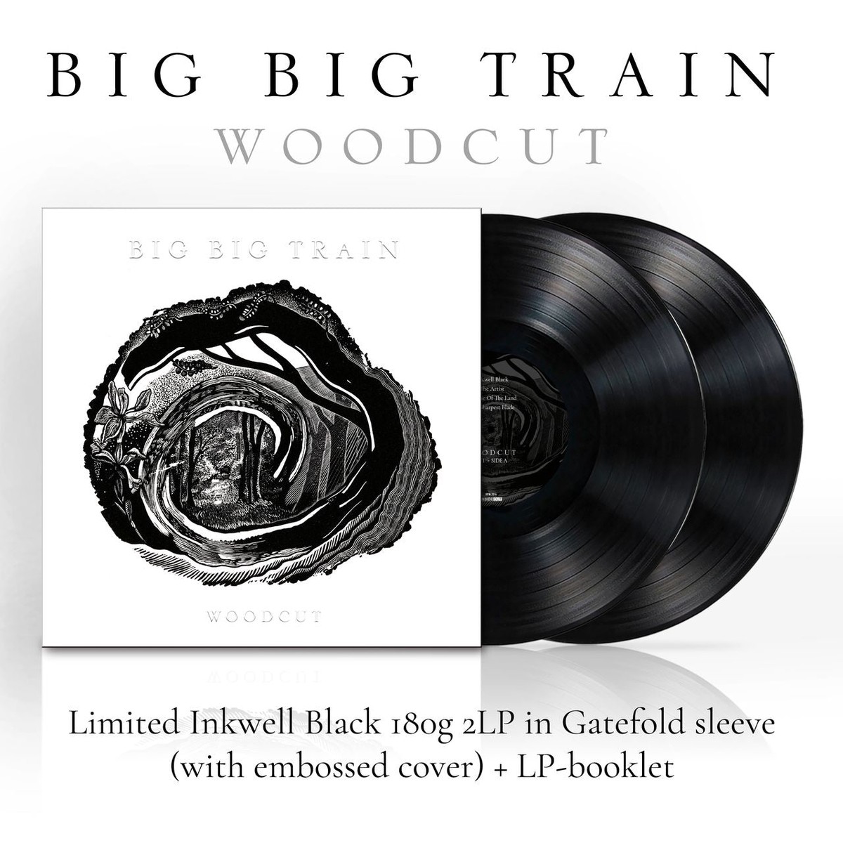 Big Big Train Woodcut - Inkwell Black Vinyl 180 Gram Booklet - Sealed UK 2-LP vinyl set