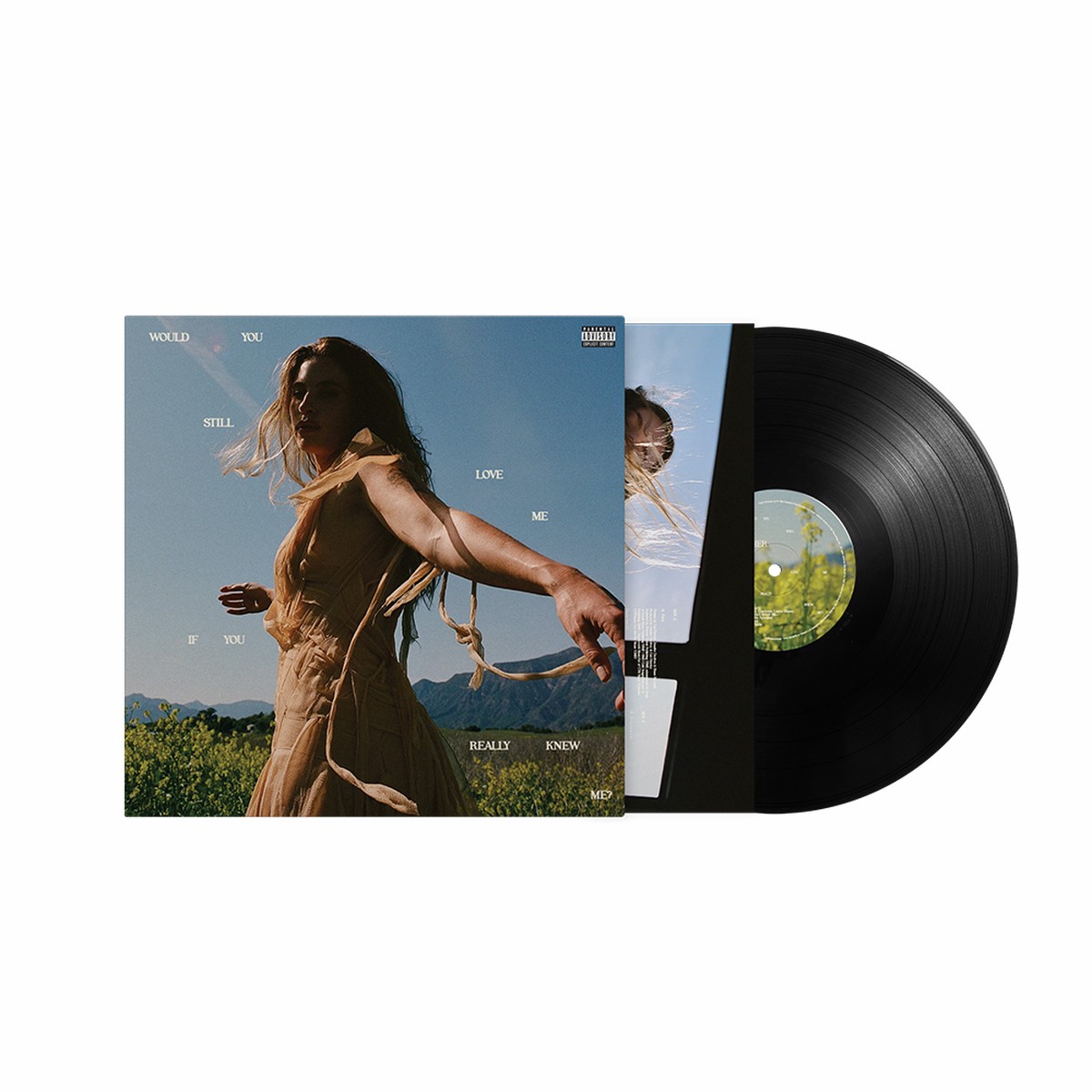Would You Still Love Me If You Really Knew Me LP