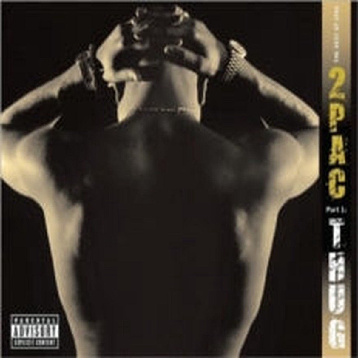 2PAC - Best Of Part 1 Thug CD