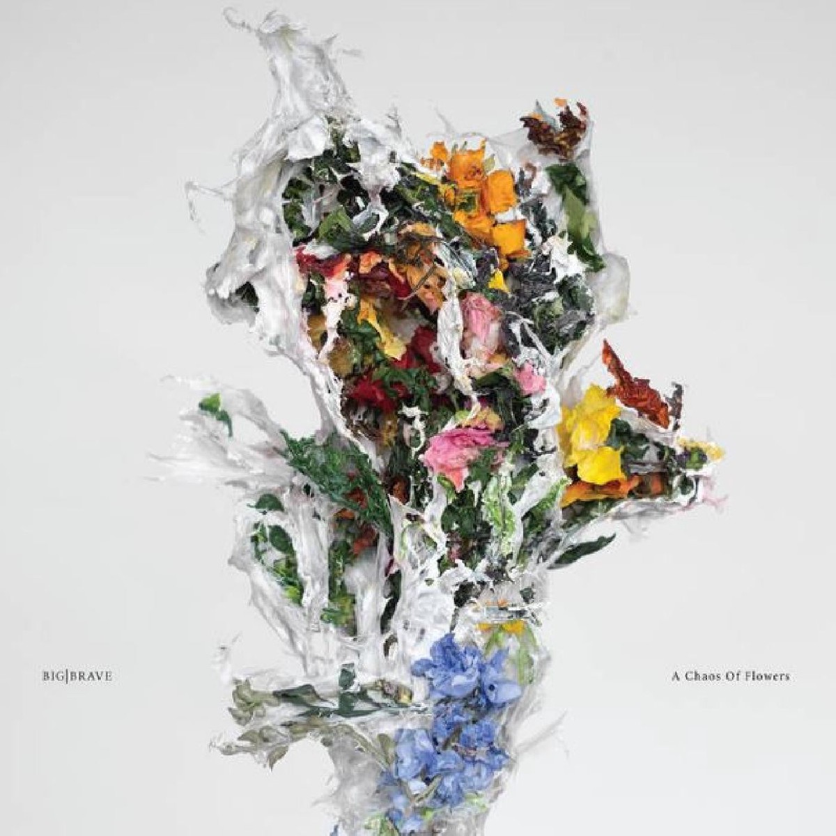 Big Brave - A Chaos of Flowers (Clear Pink Vinyl) (New Vinyl)