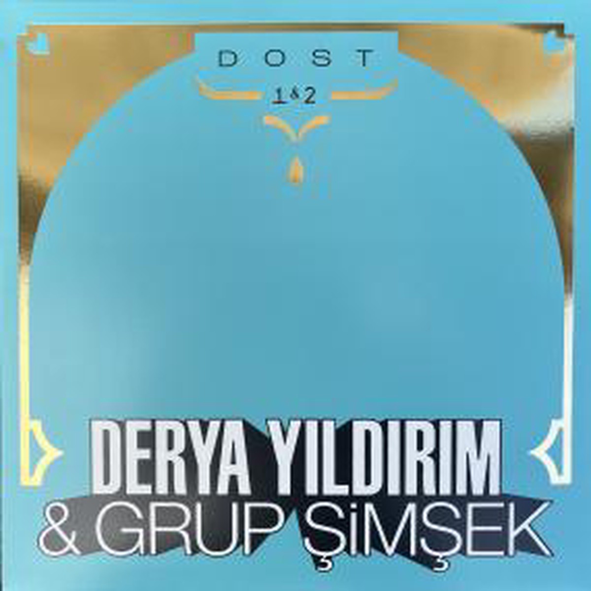 Derya Yldrm Grup imek - Dost 1 2 (New Vinyl)