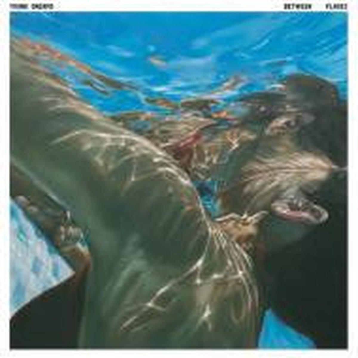 Young Dreams - Between Places CD Second Hand