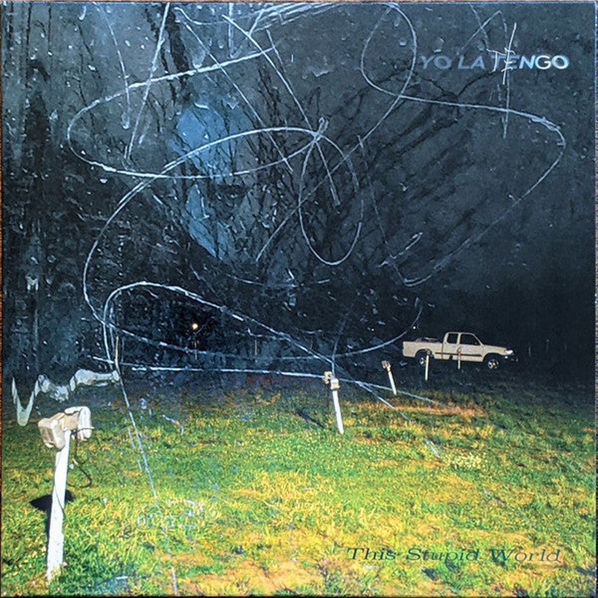 Yo La Tengo - This Stupid World Vinyl