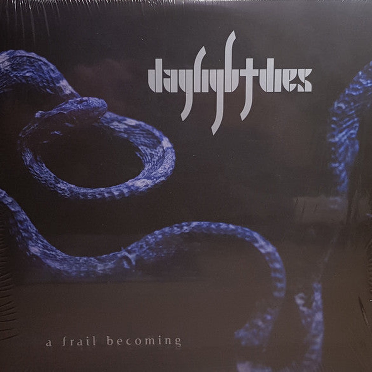 A Frail Becoming 2LP