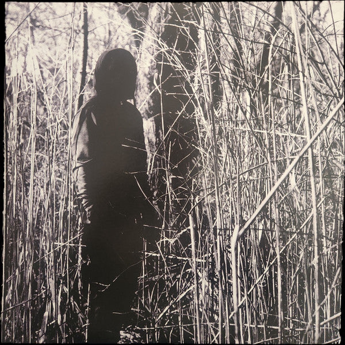 Woods Billy - Today I Wrote Nothing Vinyl