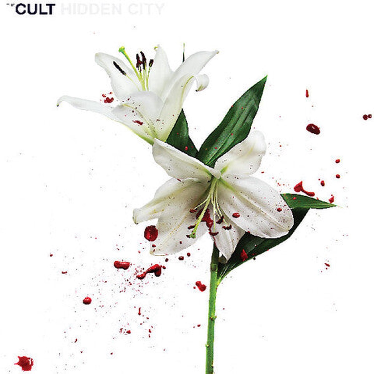 The Cult - Hidden City (Remaster) (New Vinyl)
