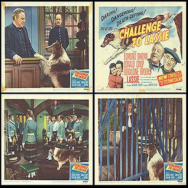 Challenge to Lassie