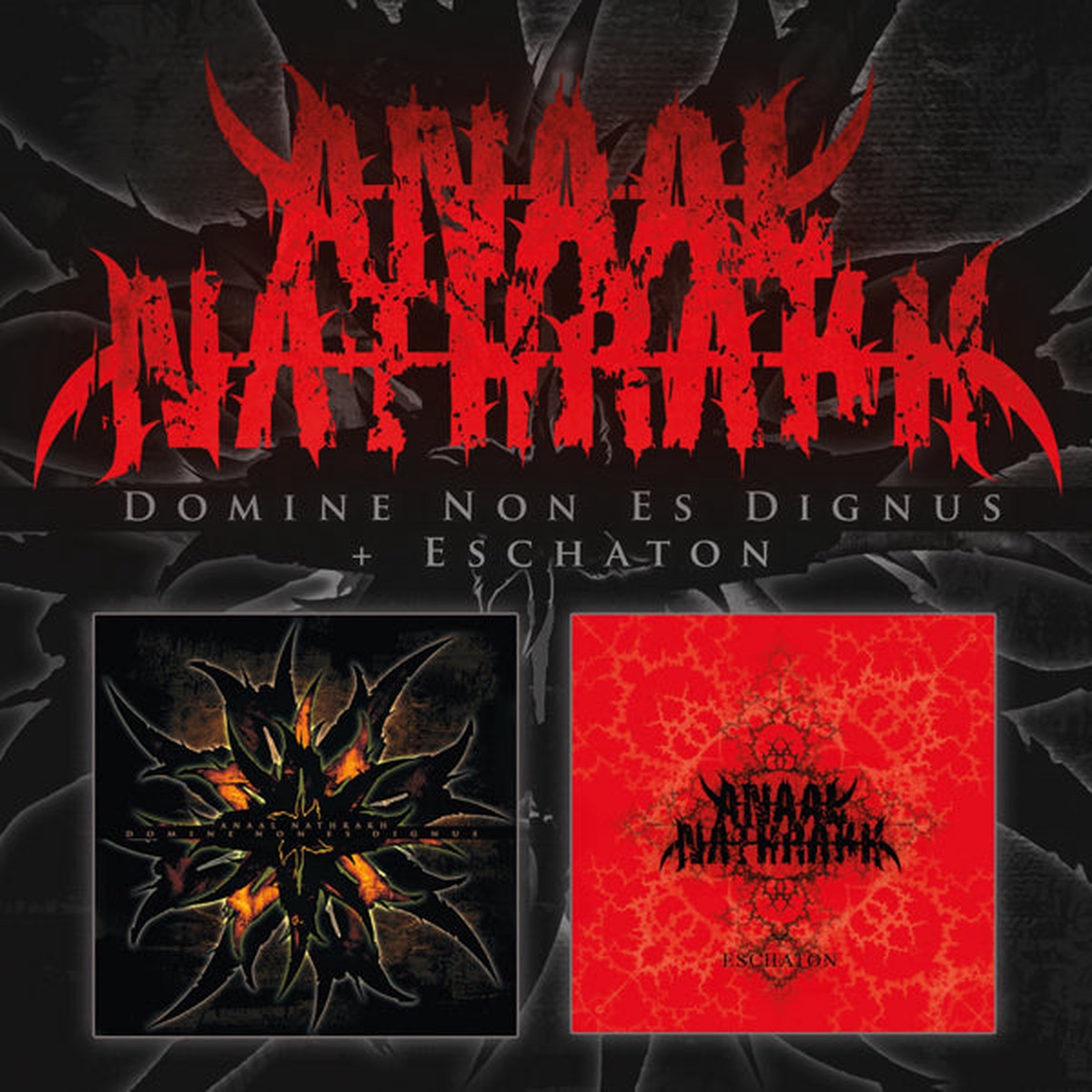 2CD - Anaal Nathrakh - Domine Non Es Dignus Eschaton