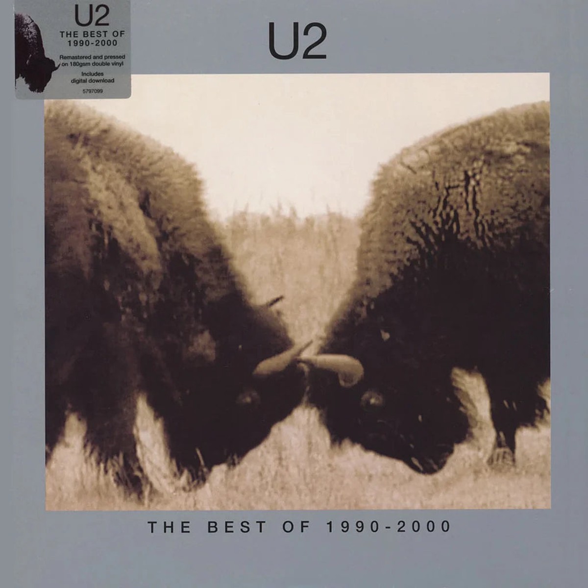 The Best of 1990-2000 (Reissue) (Vinyl 2LP)