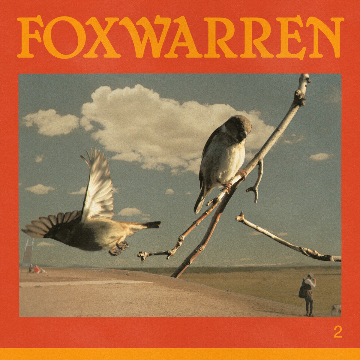 2 (Vinyl LP)