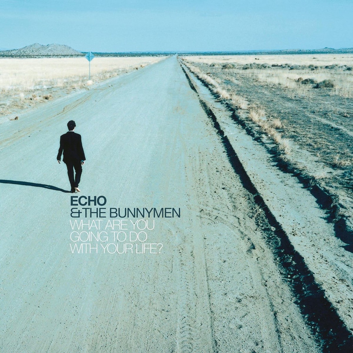 2CD - Echo The Bunnymen - What Are You Going To Do With Your Life (25th)