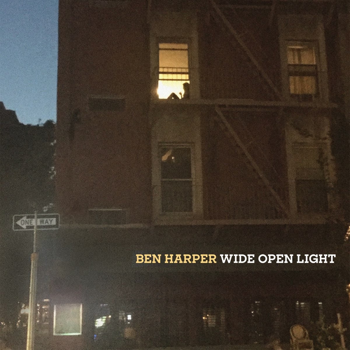 Wide Open Light (CD)