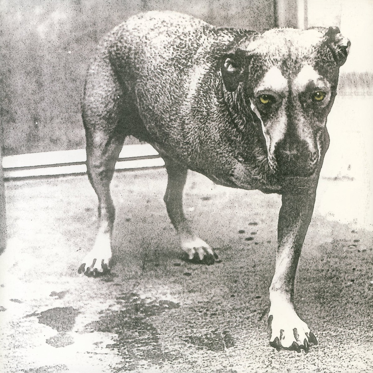 2LP - Alice In Chains - Alice In Chains