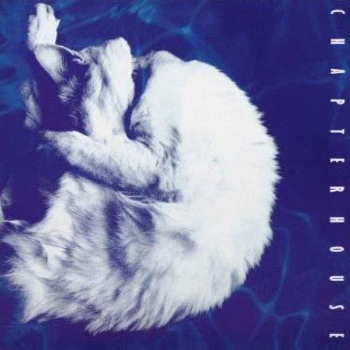 Whirlpool (Reissue)