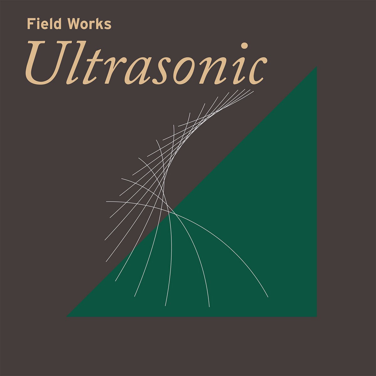 Field Works Ultrasonic (CD)