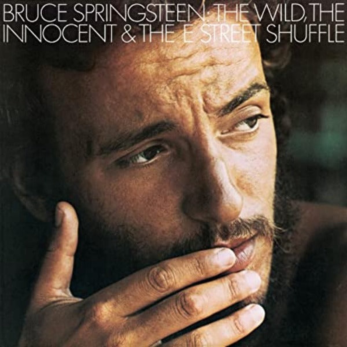The Wild The Innocent The E Street Shuffle