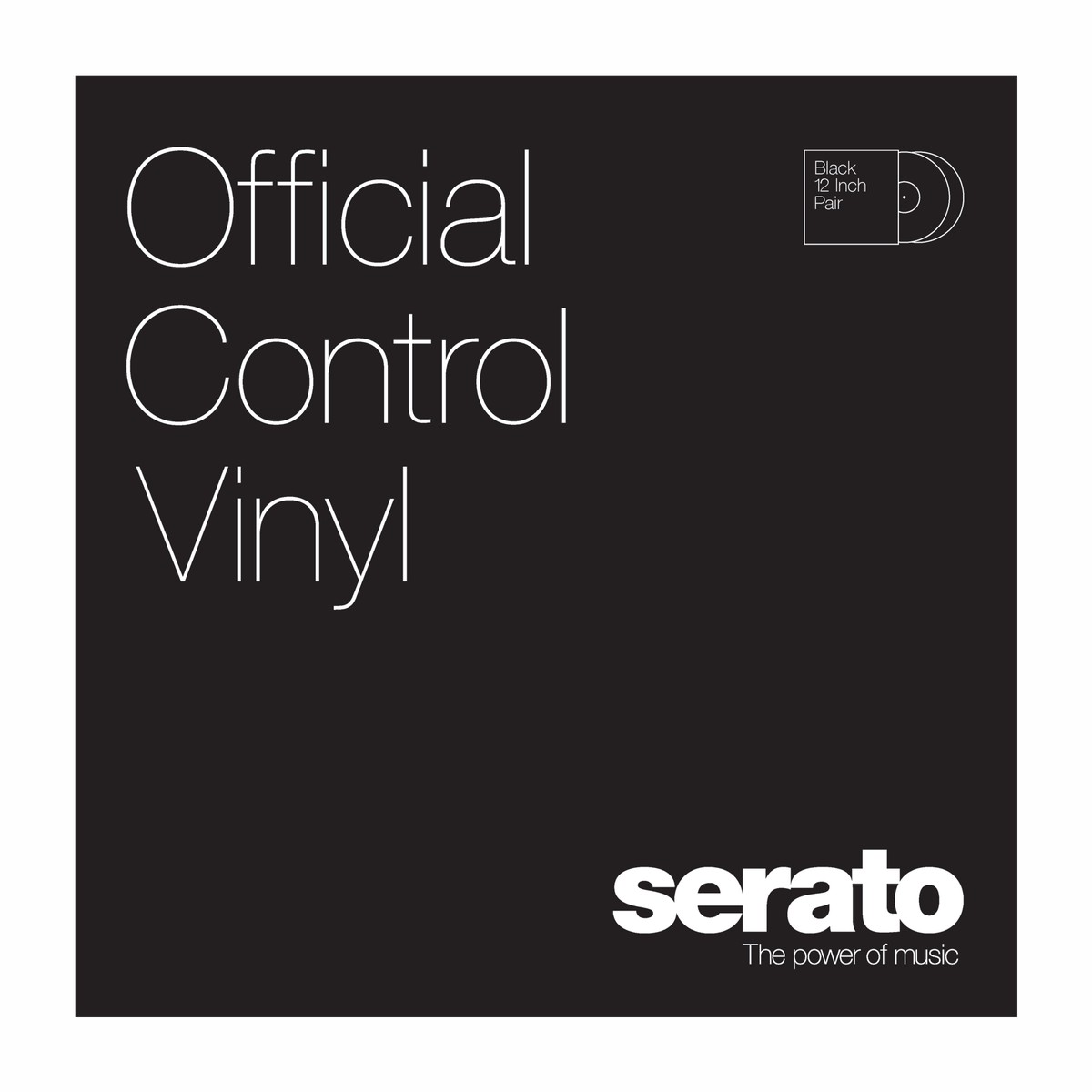12 Serato Control Vinyl (Pair)