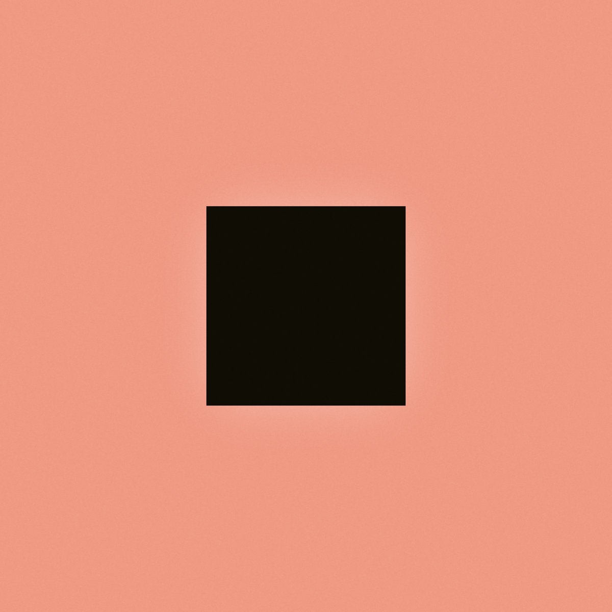 2LP - Bon Iver - SABLE fABLE